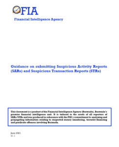 Guidance on Submitting SARs and STRs